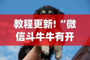 【31省新增本土确诊107例:河北90例/31个省今天新增多少例】 【31省新增本土确诊107例:河北90例/31个省今天新增多少例】