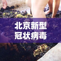 北京新型冠状病毒/北京新型冠状病毒最新情况