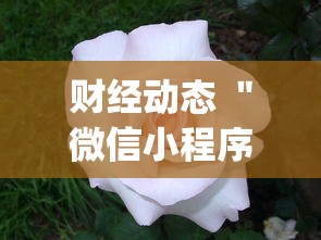 财经动态 ＂微信小程序雀神广东麻将有挂吗	”(果然有透视挂)