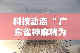 重庆南川区人民政府疫情规定:重庆市南川区人民政府办公室