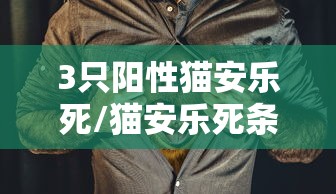 3只阳性猫安乐死/猫安乐死条件