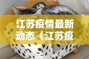 江苏疫情最新动态（江苏疫情最新情况今日新增）