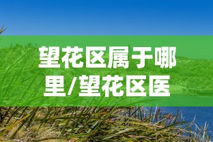 望花区属于哪里/望花区医院是属于什么医院 望花区属于哪里/望花区医院是属于什么医院