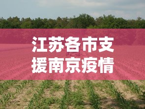 江苏各市支援南京疫情/江苏各市支援南京疫情了吗