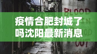 疫情合肥封城了吗沈阳最新消息（合肥疫情封控）