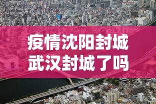 疫情沈阳封城武汉封城了吗/疫情武汉封城是谁提出来的