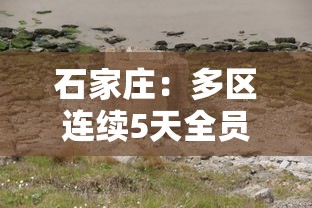 石家庄：多区连续5天全员核检（石家庄大风降温天多部门积极应对）