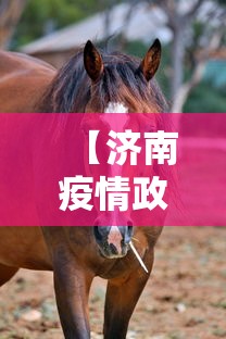 【济南疫情政策最新动态/济南疫情什么时候开始的】