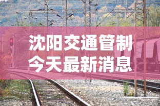 沈阳交通管制今天最新消息/沈阳交通管制今天最新消息查询