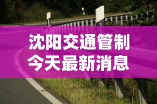 沈阳交通管制今天最新消息/沈阳交通管制今天最新消息查询