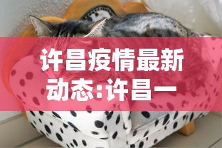 许昌疫情最新动态:许昌一地发布最新通告
