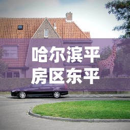 哈尔滨平房区东平小区/哈尔滨平房区东平小区二手房