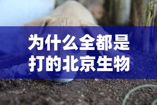为什么全都是打的北京生物的疫苗（为什么全都是打的北京生物的疫苗呢）