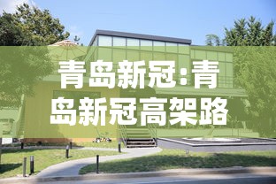 青岛新冠:青岛新冠高架路