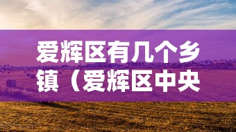 爱辉区有几个乡镇（爱辉区中央街属于乡镇吗）