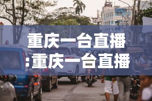 重庆一台直播:重庆一台直播节目表