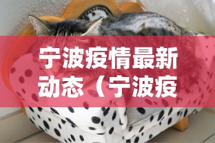 宁波疫情最新动态（宁波疫情最新通知）