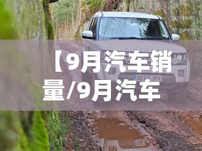 【9月汽车销量/9月汽车销量100名】