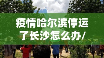 疫情哈尔滨停运了长沙怎么办/哈尔滨疫情什么时候开始的 疫情哈尔滨停运了长沙怎么办/哈尔滨疫情什么时候开始的