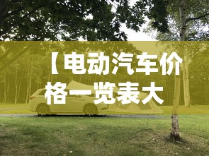 【电动汽车价格一览表大全/电动汽车价格一览表大全问界】