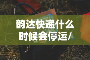 韵达快递什么时候会停运/韵达快递什么时候停止收件 韵达快递什么时候会停运/韵达快递什么时候停止收件