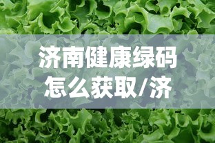 济南健康绿码怎么获取/济南健康权益xtjk怎么用