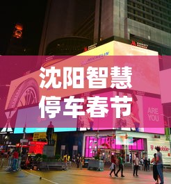 沈阳智慧停车春节期间免费吗/沈阳智慧停车不交费能怎么的