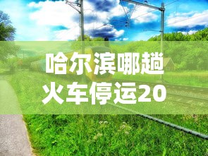 哈尔滨哪趟火车停运2021/哈尔滨两火车因暴雨停运