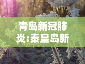 青岛新冠肺炎:秦皇岛新冠肺炎 青岛新冠肺炎:秦皇岛新冠肺炎