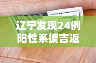 辽宁发现24例阳性系援吉返辽人员/辽宁援鄂医疗队 辽宁发现24例阳性系援吉返辽人员/辽宁援鄂医疗队