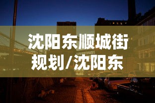沈阳东顺城街规划/沈阳东顺城街规划图