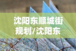 沈阳东顺城街规划/沈阳东顺城街规划图