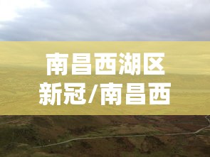 南昌西湖区新冠/南昌西湖区新任常委是谁 南昌西湖区新冠/南昌西湖区新任常委是谁