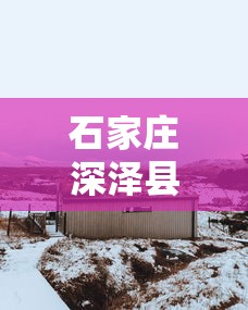 石家庄深泽县一村调整为高风险地区/石家庄深泽县具体小区地址位置图