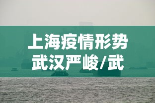 上海疫情形势武汉严峻/武汉疫情过程全梳理