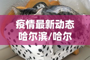 疫情最新动态哈尔滨/哈尔滨疫情最新通知