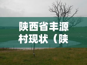 陕西省丰源村现状（陕西丰源村原型）