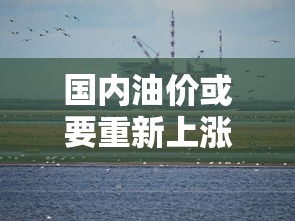 国内油价或要重新上涨/国内油价将再次迎来调整 国内油价或要重新上涨/国内油价将再次迎来调整