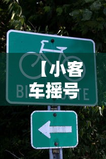 【小客车摇号查询,小客车摇号查询结果】