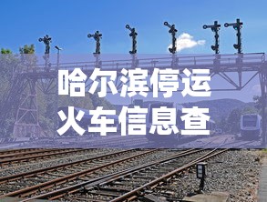 哈尔滨停运火车信息查询（哈尔滨停运火车信息查询官网）