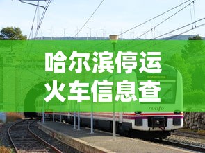 哈尔滨停运火车信息查询（哈尔滨停运火车信息查询官网）
