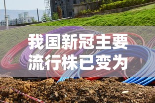 我国新冠主要流行株已变为XBB系列(我国新冠感染处于较低流行水平) 我国新冠主要流行株已变为XBB系列(我国新冠感染处于较低流行水平)