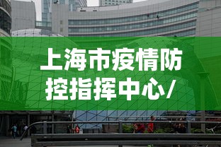 上海市疫情防控指挥中心/上海疫情防控一级巡视员