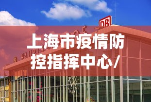 上海市疫情防控指挥中心/上海疫情防控一级巡视员
