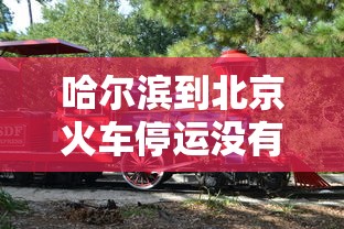 哈尔滨到北京火车停运没有?:哈尔滨到北京火车直达