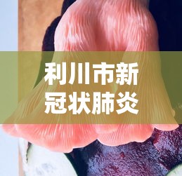利川市新冠状肺炎情况（四川新冠肺炎疫情）