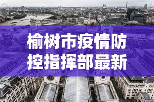 榆树市疫情防控指挥部最新举措（榆树市最新审查人员）