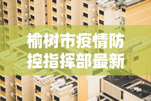 榆树市疫情防控指挥部最新举措（榆树市最新审查人员）