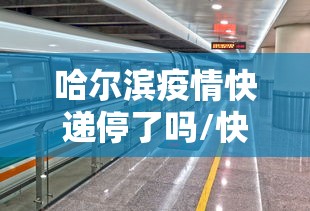 哈尔滨疫情快递停了吗/快递到哈尔滨不动了