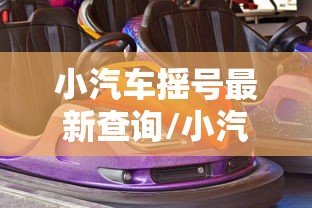 小汽车摇号最新查询/小汽车摇号查询登录